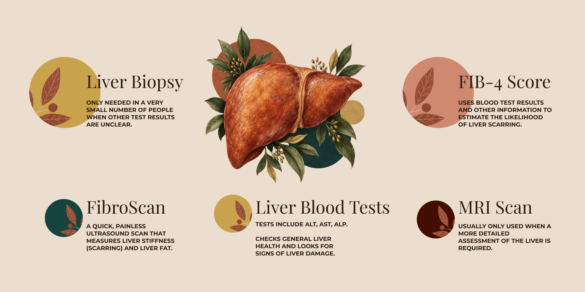 MASH liver health tests table