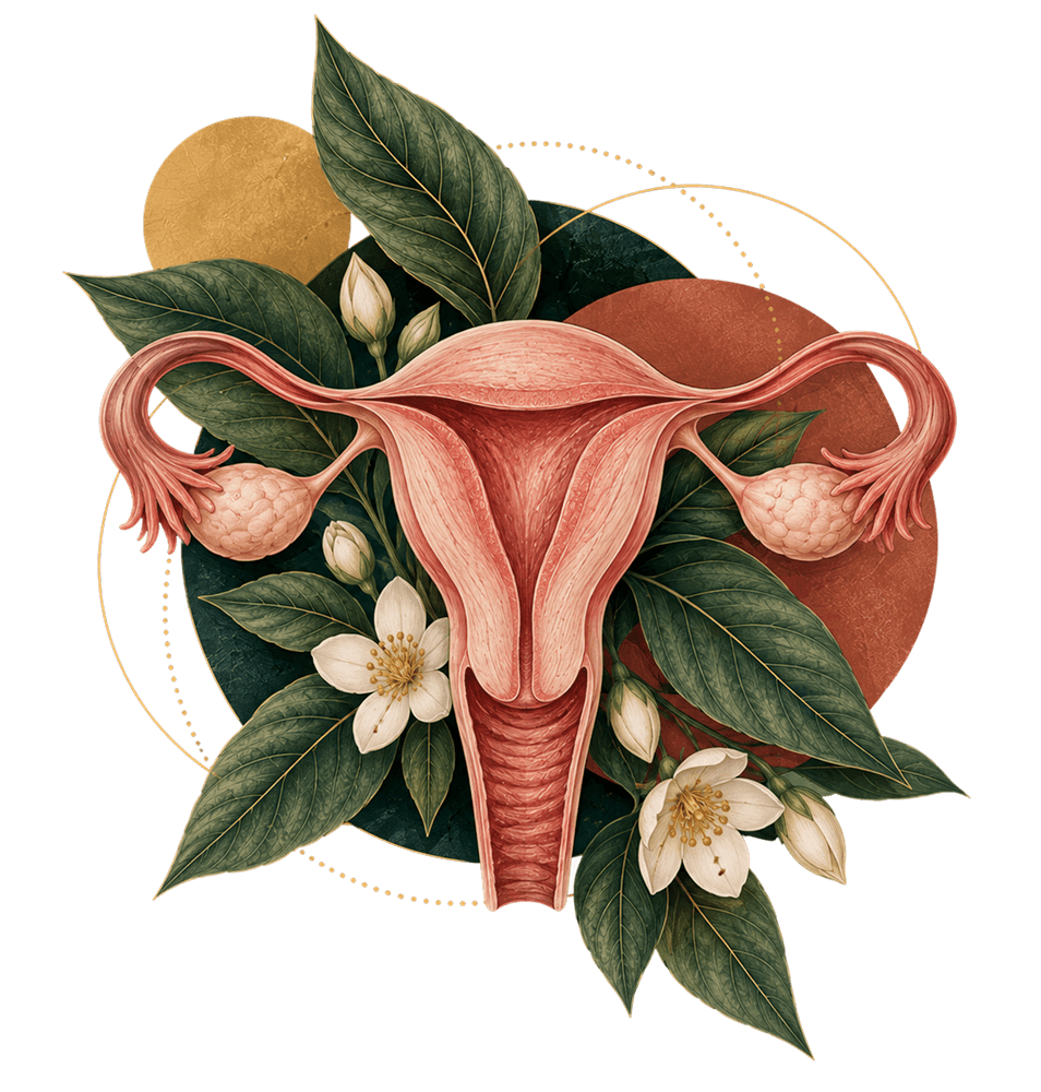 Picture of vagina with graphic elements in the background.